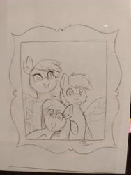 Size: 3076x4096 | Tagged: safe, artist:taurson, derpibooru import, oc, oc only, bat pony, earth pony, griffon, pony, bat pony oc, commission, everfree northwest, female, male, mare, pencil drawing, picture frame, stallion, traditional art, trio