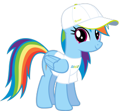 Size: 5753x5227 | Tagged: safe, artist:megabait, derpibooru import, rainbow dash, oc, pegasus, pony, bank, cap, hat, sber, simple background, smiling, transparent background, vector, white t-shirt