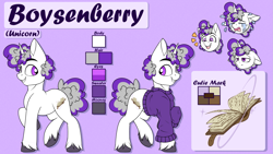 Size: 1807x1016 | Tagged: safe, artist:notetaker, derpibooru import, oc, oc:boysenberry, pony, unicorn, cutie mark, reference sheet, solo