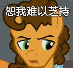 Size: 2302x2171 | Tagged: safe, derpibooru import, edit, editor:煦矞, cheese sandwich, earth pony, caption, chinese character, image macro, solo, text