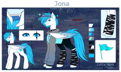 Size: 3000x1772 | Tagged: safe, artist:sparkie45, derpibooru import, oc, oc:jona, pegasus, pony, choker, clothes, hoodie, male, reference sheet, solo, spiked choker, stallion