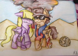 Size: 960x699 | Tagged: safe, alternate version, artist:millefaller, derpibooru import, pegasus, pony, colored, dipper pines, female, frown, gravity falls, hair over eyes, male, mare, pacifica northwest, ponified, raised hoof, raised leg, stallion, sunglasses, traditional art, tumbleweed, wings