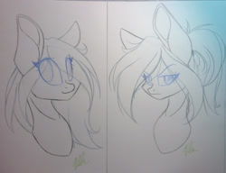 Size: 2226x1709 | Tagged: safe, artist:donnie-moon, derpibooru import, oc, oc only, earth pony, pony, bust, duo, earth pony oc, frown, lineart, signature, smiling, traditional art