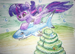 Size: 2136x1535 | Tagged: safe, artist:stewart501st, derpibooru import, twilight sparkle, twilight sparkle (alicorn), alicorn, pony, seapony (g4), shark, bubble, dorsal fin, female, fin wings, fish tail, flowing mane, flowing tail, horn, ocean, purple eyes, seaponified, seapony twilight, seashell, simple background, smiling, solo, species swap, swimming, tail, traditional art, underwater, water, white background, wings