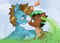 Size: 3856x2768 | Tagged: safe, artist:tosha_papuru0404, derpibooru import, oc, oc only, oc:carbon, oc:sagebrush, earth pony, pegasus, pony, blue eyes, blushing, boop, brown mane, brush, coat markings, colored wings, couple, cute, dating, earth pony oc, gay, grass, green eyes, heart, hooves, male, multicolored hair, multicolored mane, multicolored tail, multicolored wings, noseboop, pegasus oc, pinto, shading, shipping, sky, smiling, stallion, transgender, wings