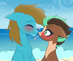 Size: 3000x2500 | Tagged: safe, artist:wew11, derpibooru import, oc, oc only, oc:carbon, oc:sagebrush, earth pony, pegasus, pony, beach, blue eyes, blushing, boop, brown mane, brush, coat markings, colored wings, couple, cute, dating, day, earth pony oc, eyelashes, eyes closed, eyes open, gay, green eyes, heart, hooves, male, multicolored hair, multicolored mane, multicolored tail, multicolored wings, noseboop, ocean, pegasus oc, pinto, shading, shipping, sky, smiling, stallion, transgender, wings