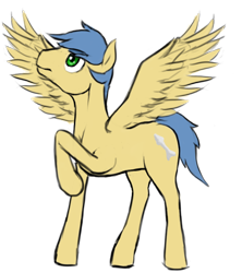 Size: 800x900 | Tagged: safe, alternate version, artist:multiverseequine, derpibooru exclusive, derpibooru import, oc, oc only, oc:skylight, pegasus, pony, colored, daybreak island, looking up, male, pegasus oc, raised hoof, raised leg, simple background, solo, spread wings, stallion, tail, transparent background, wings