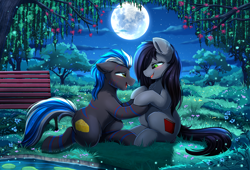 Size: 3814x2598 | Tagged: safe, artist:pridark, derpibooru import, oc, oc only, pony, beautiful, bench, cloud, commission, cutie mark, duo, female, full moon, high res, lake, male, marriage proposal, moon, oc x oc, open mouth, scenery, scenery porn, shipping, sitting, sky, straight, tree