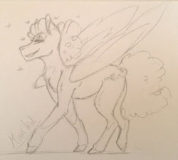 Size: 668x600 | Tagged: safe, artist:artfestation, derpibooru import, oc, oc only, oc:sky dancer, pegasus, pony, female, grin, lineart, mare, pegasus oc, smiling, traditional art, wings