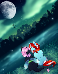 Size: 2480x3188 | Tagged: safe, artist:wild-fluff, derpibooru import, oc, oc:oculus, oc:peppermint, changeling, earth pony, commission, couple, detailed background, looking at each other, married couple, moon, oc x oc, shipping