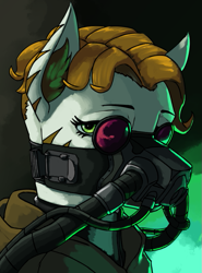 Size: 509x686 | Tagged: safe, artist:neitherman83, derpibooru import, oc, oc only, earth pony, pony, equestria at war mod, breathing mask, bust, clothes, coat markings, ear fluff, ears, eye contact, eyelashes, female, glasses, green eyes, hood, looking at each other, looking at you, mane, mare, orange mane, portrait, robe, robes