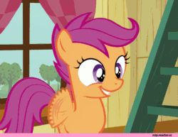 Size: 640x494 | Tagged: safe, screencap, scootaloo, pegasus, pony, :d, adorable face, animated, crusaders clubhouse, cute, cutealoo, episode needed, female, filly, flapping wings, happy, ladder, solo, window, wings