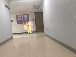 Size: 4032x3024 | Tagged: safe, derpibooru import, fluttershy, bat pony, pony, augmented reality, bat ponified, door, flutterbat, gameloft, hallway, irl, photo, race swap, school, species swap