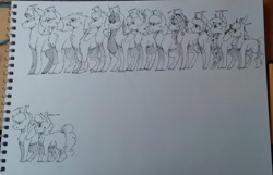 Size: 2702x1739 | Tagged: safe, artist:artfestation, derpibooru import, applejack, coloratura, fluttershy, gilda, maud pie, pinkie pie, rainbow dash, rarity, spitfire, tempest shadow, tree hugger, twilight sparkle, twilight sparkle (alicorn), vapor trail, alicorn, earth pony, griffon, pegasus, pony, unicorn, female, horn, lineart, mane six, mare, size chart, size comparison, traditional art, wings