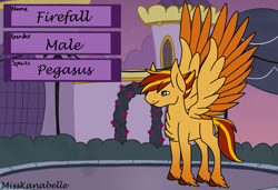 Size: 4199x2880 | Tagged: safe, artist:misskanabelle, derpibooru import, oc, oc only, oc:firefall, pegasus, pony, chest fluff, hoof fluff, male, outdoors, pegasus oc, reference sheet, solo, stallion, two toned wings, wings