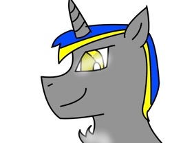 Size: 1200x1000 | Tagged: safe, artist:goldlines005, derpibooru import, oc, oc only, pony, unicorn, bust, chest fluff, horn, simple background, smiling, solo, unicorn oc, white background