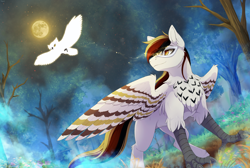 Size: 4456x3000 | Tagged: safe, artist:mr-tiaa, derpibooru import, oc, oc:silent flight, bird, hippogriff, owl, dead tree, full moon, illusion, mask, moon, stars, talons, tree