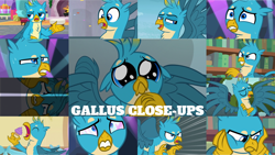 Size: 1280x722 | Tagged: safe, derpibooru import, edit, edited screencap, editor:quoterific, screencap, gallus, griffon, season 8, season 9, angry, close-up, cute, evil grin, gallabetes, grin, puppy dog eyes, scared, smiling, solo