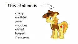 Size: 1920x1102 | Tagged: safe, derpibooru import, braeburn, earth pony, pony, arrow, clothes, comic sans, cowboy hat, hat, jacket, list, male, simple background, solo, stallion, text