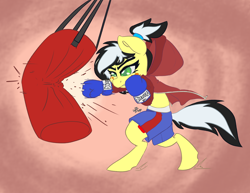 Size: 3300x2550 | Tagged: safe, artist:leadhooves, derpibooru import, oc, oc only, oc:uppercute, earth pony, bipedal, boxing gloves, boxing shorts, clothes, female, freckles, hair tie, hoodie, mare, punch, punching bag, solo