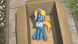 Size: 1920x1080 | Tagged: safe, artist:christian69229, derpibooru import, oc, oc only, oc:jack chestnut, pony, unicorn, 3d, box, cardboard box, glasses, horn, letter, looking at you, male, pony in a box, solo, source filmmaker, stallion, unicorn oc