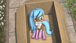 Size: 1920x1080 | Tagged: safe, artist:christian69229, derpibooru import, oc, oc only, oc:iva, earth pony, pony, 3d, blushing, box, cardboard box, clothes, female, letter, looking at you, mare, pony in a box, scarf, socks, solo, source filmmaker