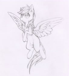 Size: 3822x4186 | Tagged: safe, artist:foxtrot3, derpibooru import, oc, oc:light winds, pegasus, pony, flying, monochrome, pencil drawing, traditional art