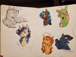 Size: 4032x3024 | Tagged: safe, artist:bestbithe15th, derpibooru import, oc, oc only, oc:blush, oc:northern lights, oc:sparkling flame, oc:spring lily, oc:stormy waters, oc:zia, earth pony, pegasus, pony, unicorn, bust, horn, pegasus oc, traditional art, unicorn oc