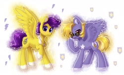 Size: 2048x1246 | Tagged: safe, artist:avrameow, derpibooru import, oc, oc only, oc:lila lilark, oc:skyspark, pegasus, pony, birthmark, blonde, blonde mane, brother and sister, female, jewelry, male, necklace, purple mane, siblings, sunglasses