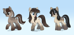 Size: 1946x934 | Tagged: safe, artist:marbo, oc, oc only, oc:cold shoulder, oc:frosty flakes, oc:winter wonder, pony, /mlp/, 4chan, blaze (coat marking), chest fluff, coat markings, cute, drawthread, female, fluffy, gradient background, looking at each other, mare, open mouth, open smile, pale belly, smiling, snowpony (species), socks (coat marking), taiga pony, trio, unshorn fetlocks, yakutian horse