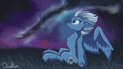 Size: 2560x1440 | Tagged: safe, artist:akuneanekokuro, derpibooru import, night glider, pegasus, pony, blue eyes, cutie mark, female, grass, looking up, mare, night, side view, sitting, sky, smiling, solo, starry night, stars, wings