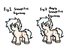 Size: 934x640 | Tagged: safe, artist:neuro, oc, oc only, oc:puffins, pony, /mlp/, angry, chest fluff, ear fluff, ears, female, fluffy, lidded eyes, mare, piebald, simple background, snowpity, snowpony (species), solo, taiga pony, unshorn fetlocks, white background