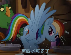 Size: 1321x1020 | Tagged: safe, artist:煦矞, derpibooru exclusive, derpibooru import, screencap, rainbow dash, pegasus, pony, my little pony: the movie, caption, chinese character, female, image macro, text