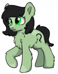 Size: 1576x2011 | Tagged: safe, alternate version, artist:dumbwoofer, derpibooru import, oc, oc only, oc:anon filly, earth pony, female, filly, raised hoof, raised leg, snowpony (species), solo, species swap, taiga pony, yakutian horse