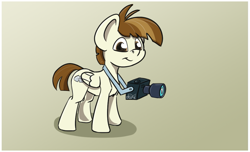 Size: 1043x633 | Tagged: safe, artist:agent-diego, derpibooru import, featherweight, pegasus, pony, camera, colt, male, simple background