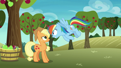 Size: 1920x1080 | Tagged: safe, derpibooru import, screencap, applejack, rainbow dash, earth pony, pegasus, pony, grannies gone wild, season 8, spoiler:s08, apple, apple tree, applejack's hat, basket, clothes, cowboy hat, duo, duo female, female, flying, food, grin, hat, looking at each other, mare, smiling, smiling at each other, spread wings, sweet apple acres, tree, wings