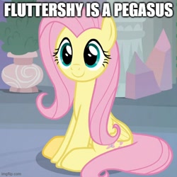 Size: 500x500 | Tagged: safe, derpibooru import, edit, edited screencap, screencap, fluttershy, pegasus, pony, non-compete clause, c:, captain obvious, caption, cropped, cute, female, image macro, imgflip, impact font, mare, shyabetes, sitting, smiling, solo, text