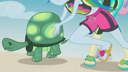 Size: 3410x1920 | Tagged: safe, derpibooru import, screencap, fluttershy, rainbow dash, tank, tortoise, aww... baby turtles, better together, equestria girls, beach, belly button, clothes, female, geode of super speed, high res, jewelry, magical geodes, male, necklace, sandals, sleeveless, smiling, swimsuit