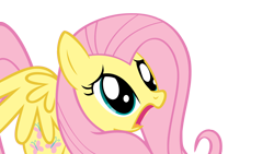 Size: 1920x1080 | Tagged: safe, artist:danbackslide7, derpibooru import, edit, edited screencap, screencap, fluttershy, pegasus, pony, party of one, adorable distress, cute, d:, female, frown, horrified, mare, open mouth, shocked, shyabetes, simple background, solo, spread wings, transparent background, vector, vector edit, wings