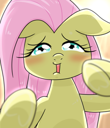 Size: 640x740 | Tagged: safe, alternate version, artist:batipin, derpibooru import, fluttershy, pegasus, pony, blushing, ears, female, floppy ears, looking at you, open mouth, solo