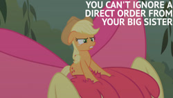 Size: 1280x720 | Tagged: safe, derpibooru import, edit, edited screencap, editor:quoterific, screencap, apple bloom, applejack, earth pony, pony, bridle gossip, season 1, apple bloom's bow, applejack's hat, appletini, bow, clothes, cowboy hat, female, filly, hair bow, hat, mare, micro, offscreen character