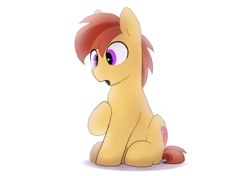 Size: 1024x722 | Tagged: safe, artist:mochi_nation, derpibooru import, oc, oc only, earth pony, pony, solo