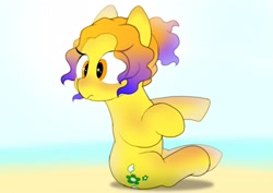 Size: 2048x1446 | Tagged: safe, artist:mochi_nation, derpibooru import, oc, oc only, oc:moth, earth pony, pony, beach, cute, female, gradient mane, looking back, mare, ocbetes, sitting, solo, sunburn