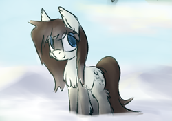 Size: 835x587 | Tagged: safe, artist:anonymous, oc, oc only, oc:frosty flakes, pony, blaze (coat marking), chest fluff, coat markings, ear fluff, ears, female, fluffy, looking at something, mare, outdoors, outside, snow, snowpony (species), socks (coat marking), solo, taiga pony, yakutian horse
