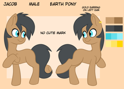 Size: 2450x1750 | Tagged: safe, derpibooru import, oc, oc only, oc:jacob, earth pony, pony, blank flank, jewelry, reference sheet, ring