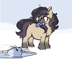 Size: 1052x870 | Tagged: safe, artist:somefrigginnerd, oc, oc only, fish, pony, seal, chest fluff, emanata, eye contact, eyebrows, eyebrows visible through hair, female, ice, ice fishing, looking at each other, looking down, looking up, mare, mouth hold, snow, snowpony (species), taiga pony, yakutian horse