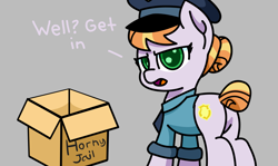 Size: 3353x2000 | Tagged: safe, artist:exoticeon, derpibooru import, copper top, earth pony, pony, cardboard box, horny jail, police, police officer, police pony, police uniform