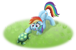 Size: 1280x838 | Tagged: safe, artist:pony-thunder, derpibooru import, rainbow dash, tank, pegasus, pony, tortoise, cute, dashabetes, ears, face down ass up, floppy ears, grass, looking at each other, open mouth, open smile, simple background, smiling, transparent background