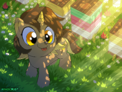 Size: 800x600 | Tagged: safe, artist:rangelost, derpibooru import, oc, oc only, oc:honeydipper, insect, pony, unicorn, crepuscular rays, flower, grass, insect on nose, solo