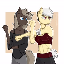 Size: 4096x4096 | Tagged: safe, artist:shallowwin, derpibooru import, oc, oc:note clip, oc:parch well, anthro, earth pony, unicorn, abs, breasts, clothes, midriff, scar, sports bra, tomboy